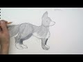 how to draw a fox