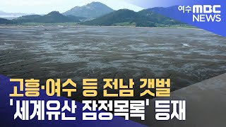 고흥·여수 등 전남 갯벌 '세계유산 잠정목록' 등재 (231020금/뉴스데스크)