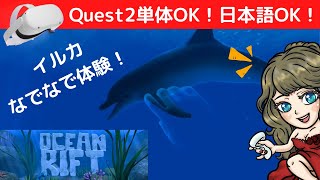 信じられますか？これVRゲームなんです…MetaQuest2「OCEAN RIFT」でイルカと遭遇 #shorts