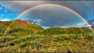 Look for Me in Rainbows (Vicky Brown)
