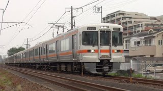 JR東海 313系海シンB4編成+海シンB401編成+海シンB509編成 回送神領 勝川駅～春日井駅間