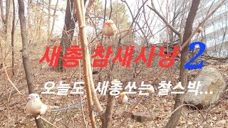 모형 참새 새총사냥 연습 사격  #참새사냥  #slingshot   #기근시 생존  #집중력훈련