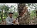 ciduk bang andi di karet karetan‼️sambil trabas pakek crf ban botak