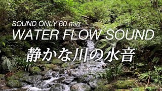 【ASMR】川のせせらぎ WATER FLOW SOUND 60min 【音のみ1時間】