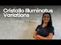 Cristallo Illuminatus: Discover the Differences in Our Latest Selections!