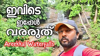 Areekkal Waterfalls | Travel Places For Family in Kerala | Kochi Trip Places in Malayalam ||