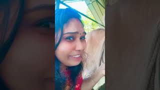 അവസാനം ഞങ്ങൾ രണ്ടും പിണങ്ങി 😒😏🫤 #love #topbgms #bgm