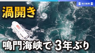 鳴門海峡で3年ぶり渦開き　「にぎわい再び」願い