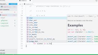 08 Rust Loop While Loop and For Loop