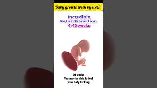 baby growth week by week#pregnancytips#trending #viral#genderpredictions#shortsfeed#oldwivestales