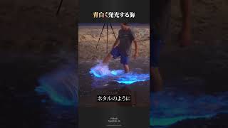 青白く発光する海