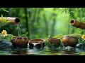 Relaxing Piano Music: Sleep Music, Water Sounds, Relaxing Music, Spa Music