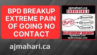BPD Breakup Extreme Pain Of Going No Contact