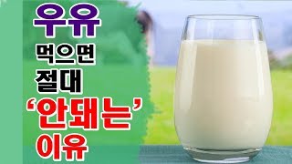 우유 절대 먹지 말아야 하는 이유 Do not drink milk, it is not good for health 문재인 유시민 박근혜 비트코인 토론