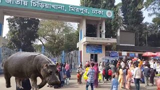 বাংলাদেশ জাতীয় চিড়িয়াখানায় একদিন || Bangladesh National Zoo Tour