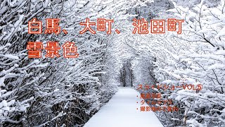 【風景写真】【タイムラプス】雪のある造形／白馬村大町市などで撮影した雪風景　スライドショー⑤