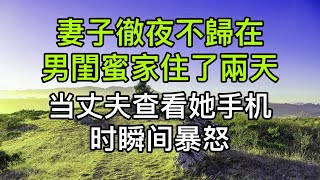 妻子徹夜不歸在男閨蜜家住了兩天，當丈夫查看她手機時瞬間暴怒！真實故事 ｜都市男女｜情感｜男閨蜜｜妻子出軌