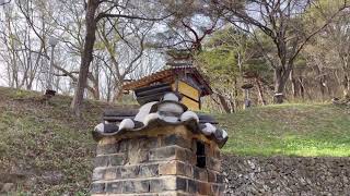 세계 유산 안동 봉정사 최고 뷰 포인트 삼성각 극락전 대웅전 뒷동산