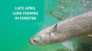 Late April lure fishing in Forster Tuncurry