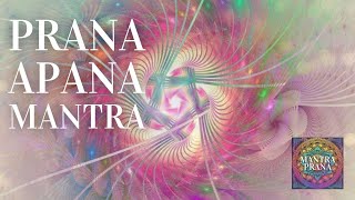 MANTRA para ⌘ LIMPIEZA & SANACIÓN de CANALES (EFECTIVO!!) | Mantra Prana Apana
