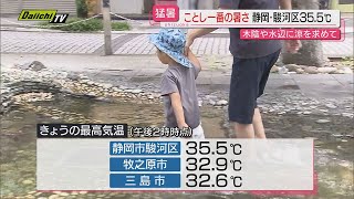 【暑っ！】週明けの県内は朝から気温上昇し２０２４年初猛暑日に水遊びする姿も…２５日も｢真夏日｣か（静岡）