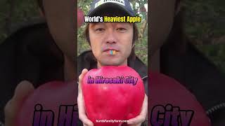 Heaviest, Largest and Biggest Apples in the World | #apple #biggest #largest