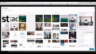 Stack WordPress Theme - Features Block Overview
