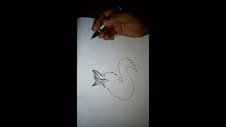 Wolf Mandala Drawing#Pancreatin