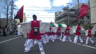 相模原　桜祭り　2018　桂友会　ヤマト