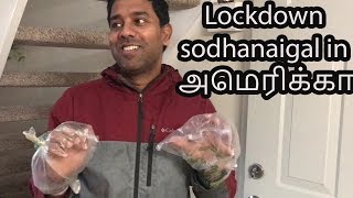 OUR current nilamai in USA | lockdown sodhanaigal | Family Traveler VLOGS (2020) | USA Tamil VLOG