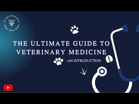 The Ultimate Guide To Veterinary Medicine An Introduction Youtube