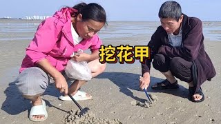 带媳妇冬季来到北海，去海边赶海挖花甲，没想到收获还不错