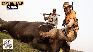Stalking in on Cape Buffalo in Zambia
