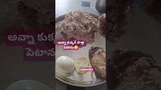 కుక్కర్ ధెంచాను అన్నం చయ్సాను చూడు #likes #ytshorts #subscribe #trending #telugu #viral #funny #food