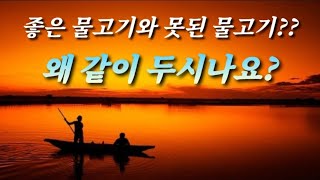 🔊음성+자막[엔타임🧭계시묵상] 🚩좋은 물고기와 못된 물고기가 무슨 뜻인가요??✨️못된 물고기를 좋은 물고기와 왜 같이 두시나요?🚩