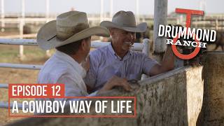 A Cowboy Way of Life