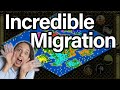 Incredible Migration Free For All!