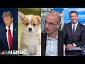 Debunking Trump’s pet-eating lunacy: A trick to hype immigration (Harari x Melber)