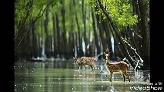 বাংলাদেশের সেরা ১০ টি ভ্রমণ স্থান