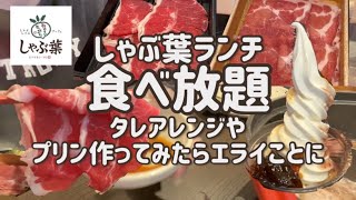 【食べ放題】しゃぶ葉のランチでタレアレンジ/プリン作り大騒動/猫ロボット/Japanesefood/shabu-shabu/Buffet