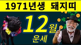 2024년 12월운세 [1971년생]  #12월운세 #1971년생운세 #돼지띠운세 #이달의운세 #12월