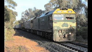 G539-BL33-XR559 on 7901V nearing Maryborough.  09-09-23.