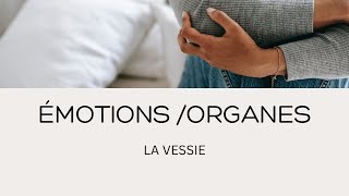 Vessie et Émotions : Décryptage des Liens Insoupçonnés