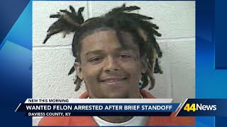 Wanted felon arrested after brief standoff in Daviess County
