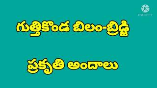 గుత్తికొండ బిలం-బ్రిడ్జి.... ప్రకృతి అందాలు