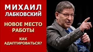 Как адаптироваться на новом месте работы? Михаил Лабковский