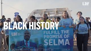 LDF Celebrates Black History Month 2024