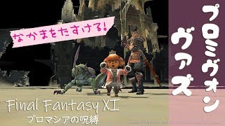 FF11：プロミヴォン・ヴァズを攻略せよ！【PM】#27