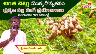 చింత చెట్టు యొక్క గొప్పతనం|| ప్రకృతి వల్ల ప్రయోజనాలు విజయరాం||Importance of Nature||Vijayaram||Yestv