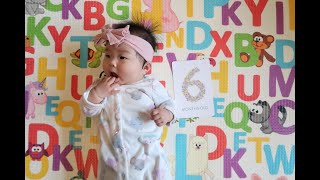 Lexie is 6month! \u0026 第一次BLW自主进食/辅食